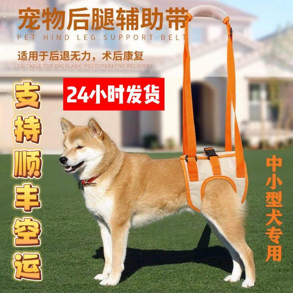 宠物狗狗后腿辅助带老年犬后肢身心障碍瘫痪助走路行走神器手提牵