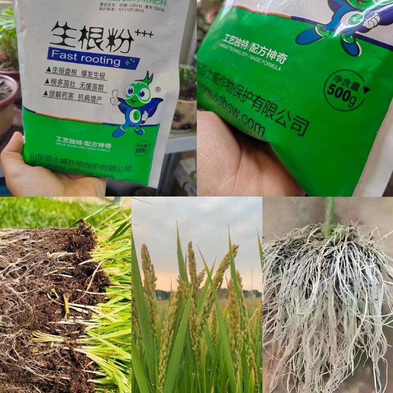 康品植物通用生根粉树木壮苗生根剂扦插移栽多肉营养液快速生根