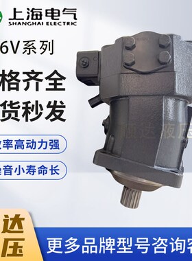 上海电气柱塞泵油马达A6VE28HD1D63W09VAL010F 55HD2D63W10VAL020