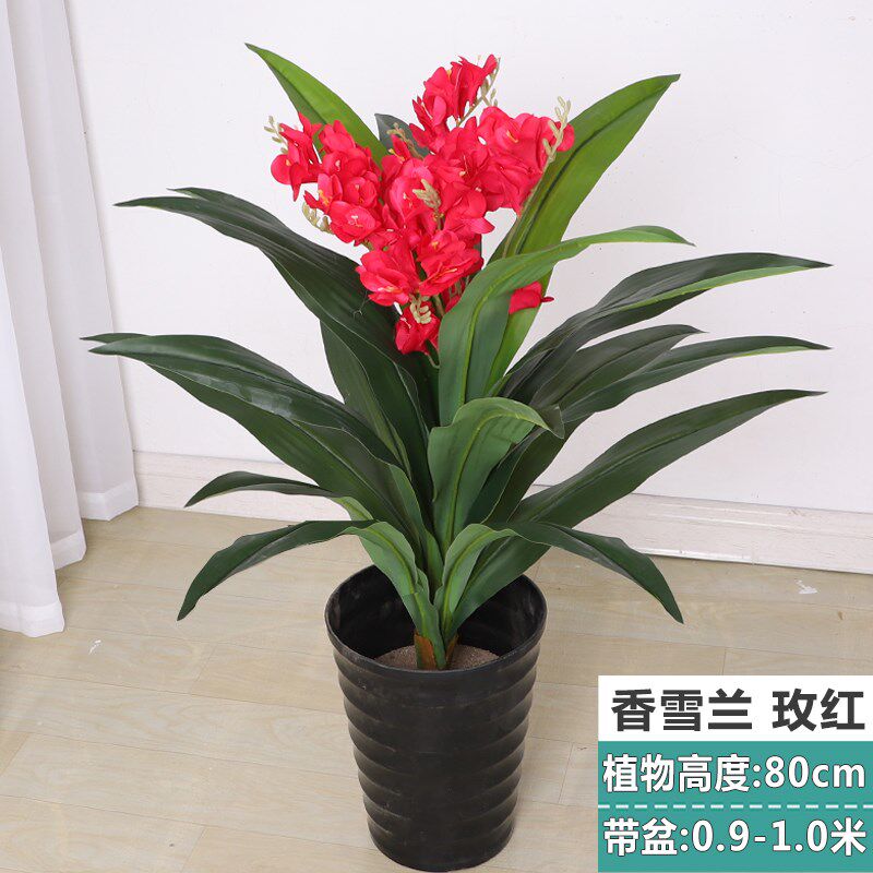 蝴蝶兰假花仿真植物兰花鸿运盆景盆栽家居装饰塑料假树落地大绿植