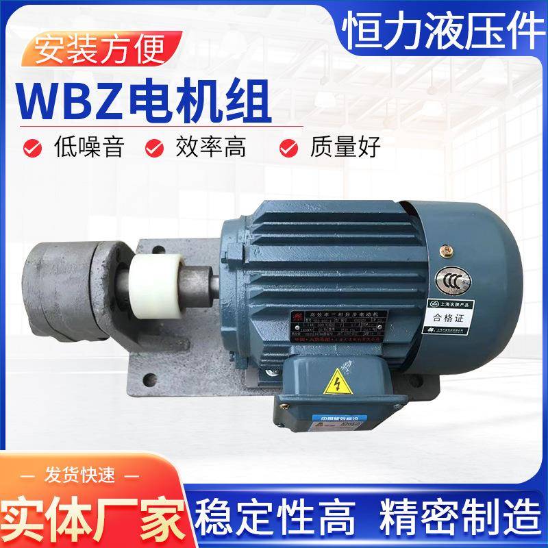 三相异步电动机WBZ卧式液压齿轮泵电机组大功率齿轮减速电机