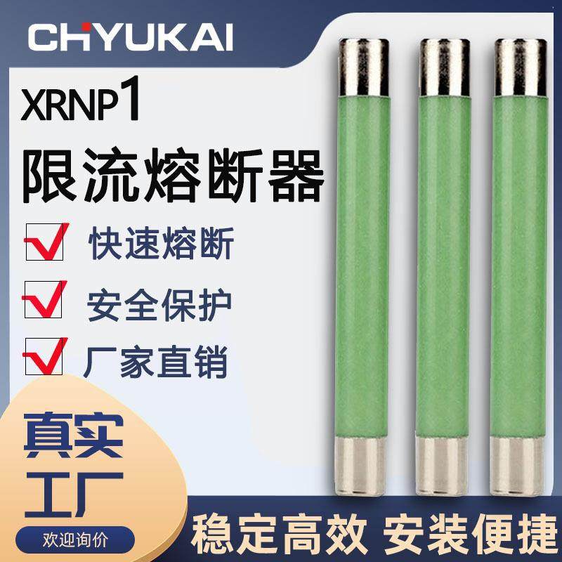 高压限流熔断器XRNT10-12KV/10KV熔断器高压分断能力箱变保险管丝