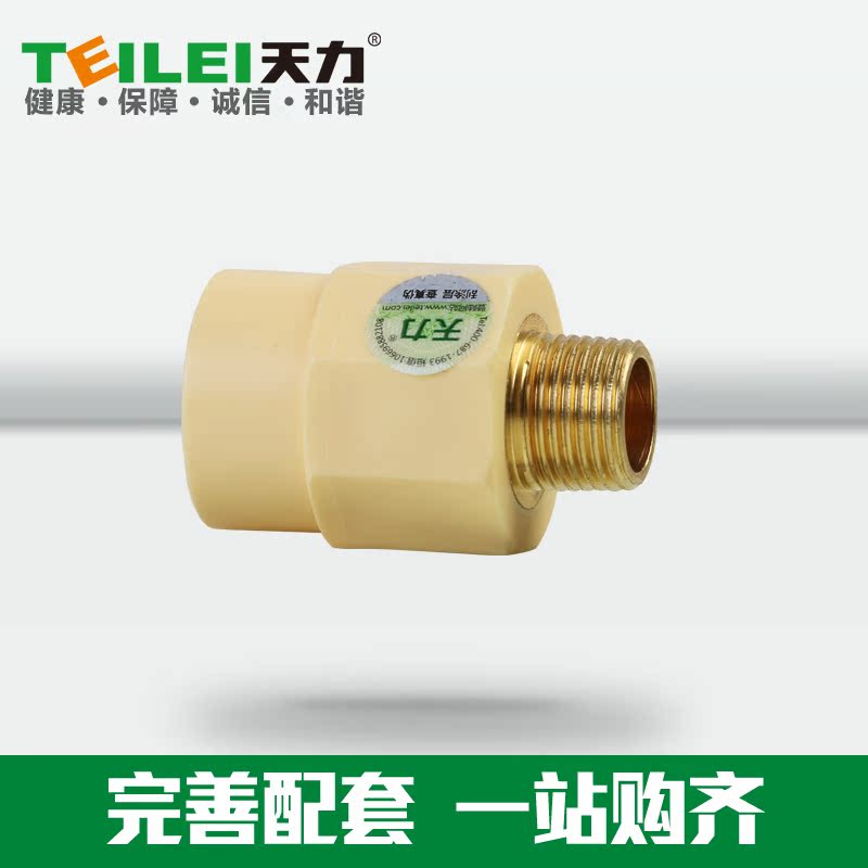 天力管水管 进口PPR材质水管配件 抗菌6分管承口外螺纹接头20
