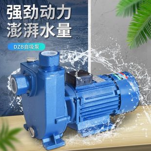 加 WDB相 大功率强工业级泵三 循环泵 供Z增压泵水泵B自吸泵Z