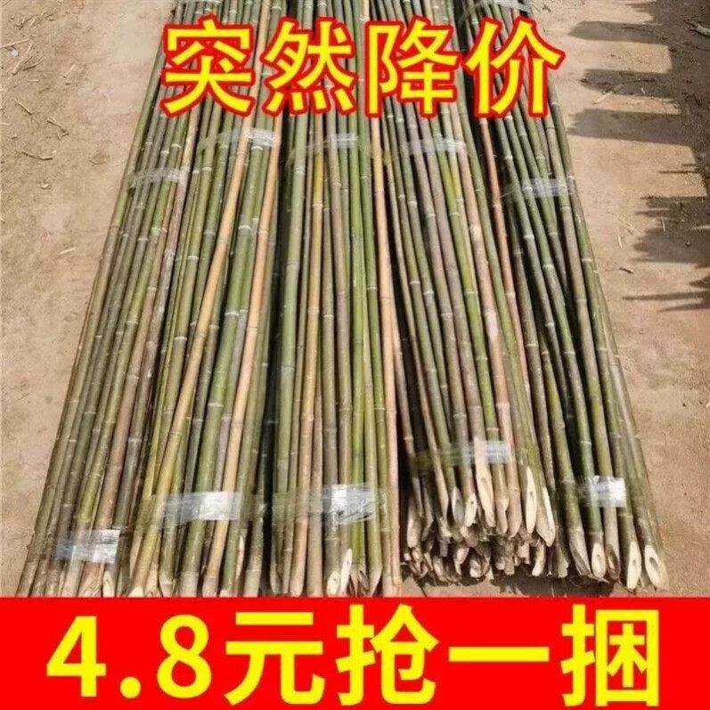 竹竿菜园搭架蔬菜黄瓜番茄豆角架杆竹篱笆栅栏小竹子细竹竿葡萄架