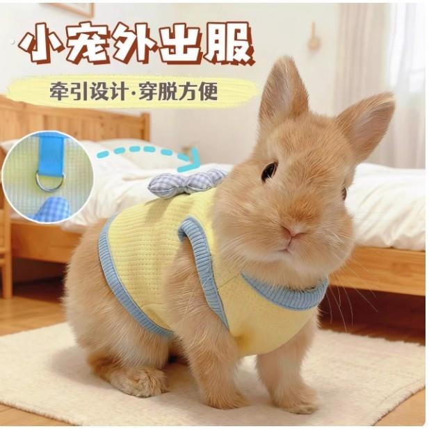 超小号兔子衣服宠物侏儒兔幼兔龙猫荷兰猪春秋季外出带牵引绳衣服