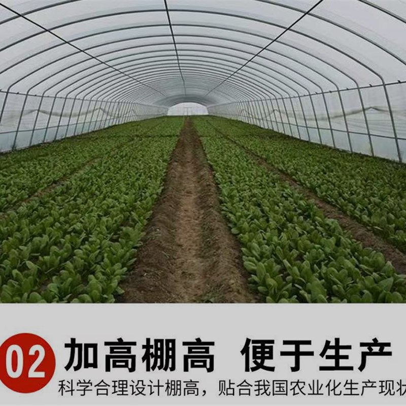 大棚定做骨架配件钢管