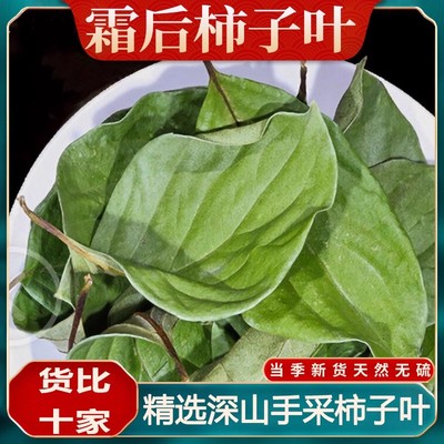 柿子叶中药材500g柿子叶茶新鲜干货可打柿子叶粉柿叶霜后柿子树叶