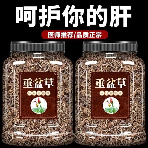 垂盆草中药材正品官方旗舰店垂盆草茶新鲜非野生护肝的功效与作用