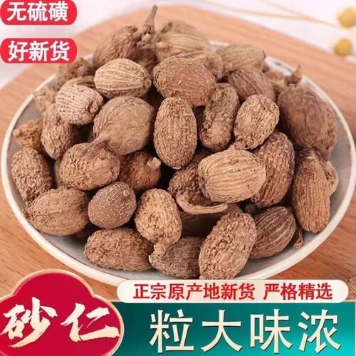 正品广东野生砂仁中药材500g香砂仁春砂仁香料毛砂仁烧菜卤肉火锅