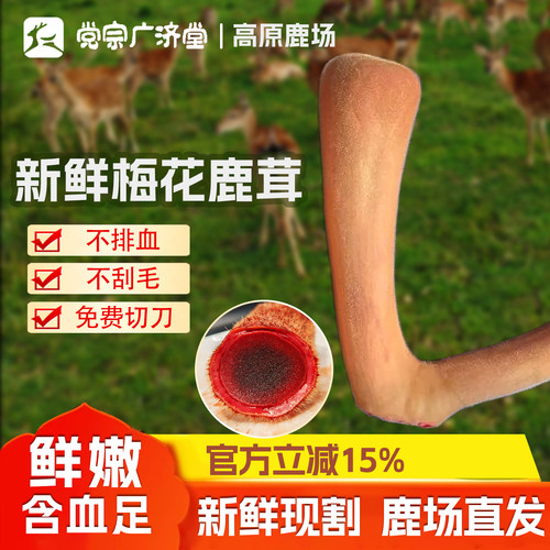 新鲜鹿茸梅花鹿头茬二杠整枝带血