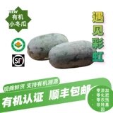 【新鲜有机】有机迷你小冬瓜顺丰包邮1斤2斤3斤抱枕小冬瓜