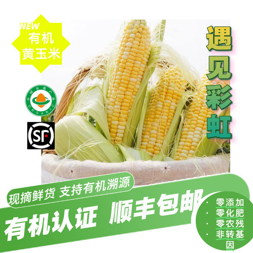 【新鲜水果玉米】有机水果黄玉米 鲜嫩多汁脆甜玉米 有机认证