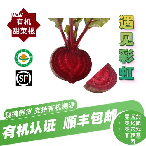 有机甜菜根红菜头有机认证无农残