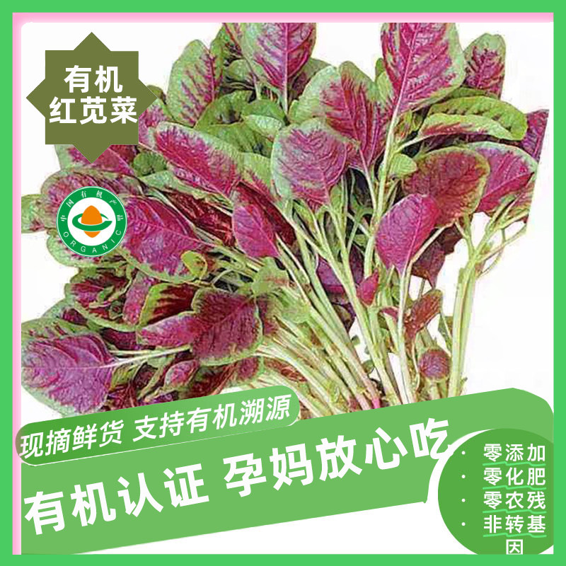 【新鲜有机】有机红苋菜顺丰包邮1-3斤泡沫箱装农家自种蔬菜有机