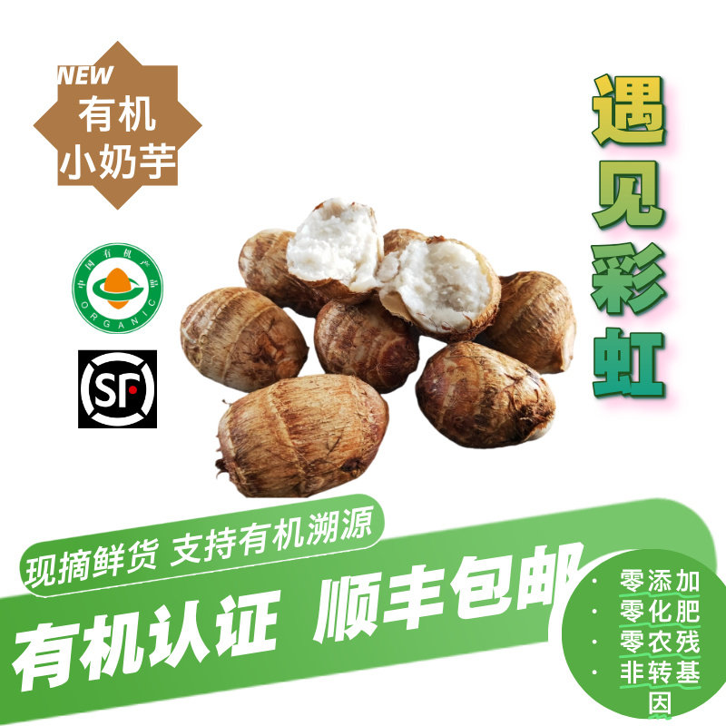 有机芋头/有机芋艿有机认证牛奶芋头现摘现发健康美味