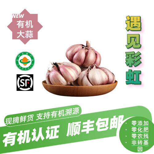 【新鲜有机】有机大蒜头顺丰包邮3斤2斤泡沫箱装无农残有机认证