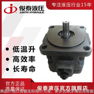 花键液压泵 台湾款 系列变量叶片泵 液压电机用油泵