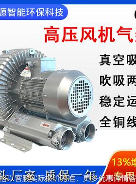 2GH 410-H06漩涡风机设备配套旋涡气泵小型污水处理高压风泵