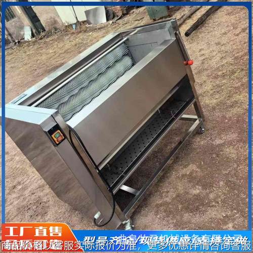 猪蹄毛刷清洗机田螺马蹄荸荠滚刷清洗设备大姜土豆去皮清洗机