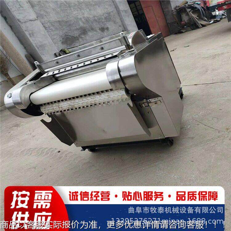 材灵芝生姜丹切参片机 柠檬皮陈皮切丝机 果脯丁话梅MAGA-102红切