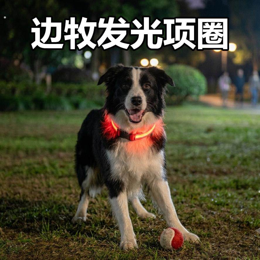 边牧狗狗发光项圈夜间遛狗夜光夜行灯大小型犬带灯充电宠物反光圈
