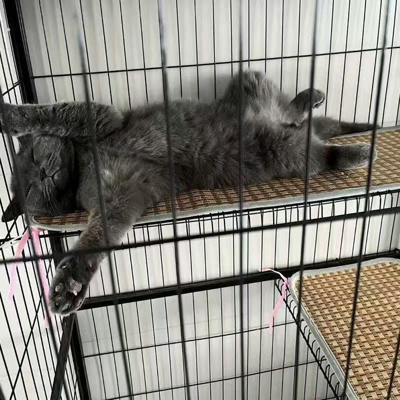 小狗凉席宠物藤席垫猫笼专属平台垫夏天狗狗猫咪消暑垫猫咪垫猫咪