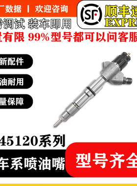 BS/0445120129喷油器总成612600080971适用WD10发动机
