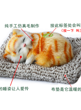 威源 创意车载摆件公仔新车除甲醛异味净化空气会叫大小竹炭猫