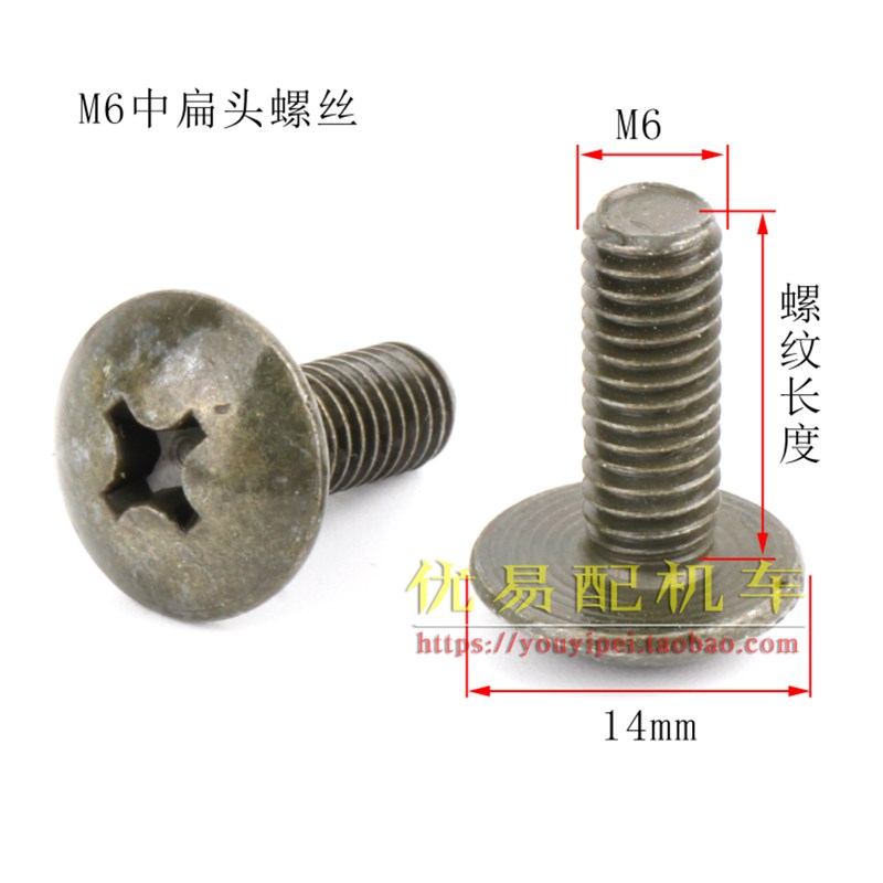 摩托车电动车通用大扁头帽头6mm十字头螺丝 踏板车牌照排气管螺丝