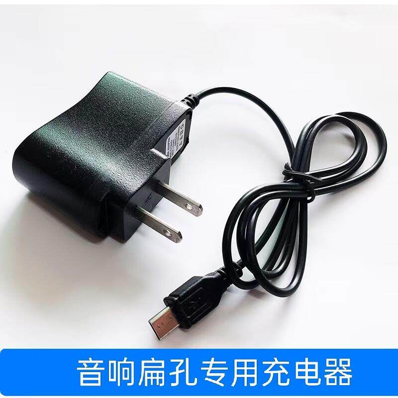适用/先萪 蓝牙音箱迷你小音响收音机早教机充电器USB扁头线9573
