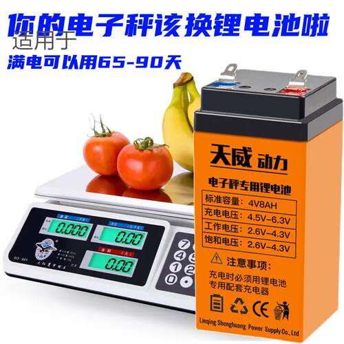 4V4ah5ah8ah大容量锂电池电子秤磅秤童车玩具车照明蓄电瓶充电器