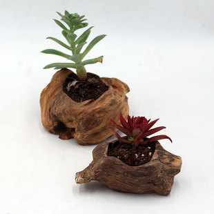 厂家销售松树瘤木雕摆件家居 多肉小花盆装饰S品客厅工艺品包邮