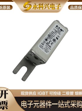 熔断器保险丝170M1410 1411 1412 170M1367 170M1368 W170M1369