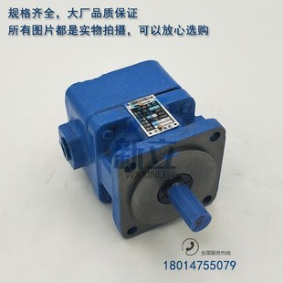 6.3 100液Y 定制磨床叶片泵YB1 32J