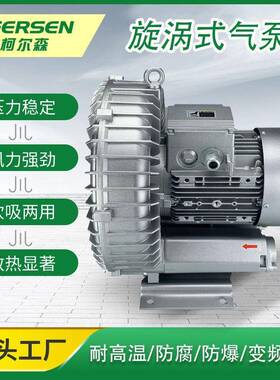 2RB810-7AH175.5KW高负压漩涡式气泵高压鼓风机吸尘用防爆风机