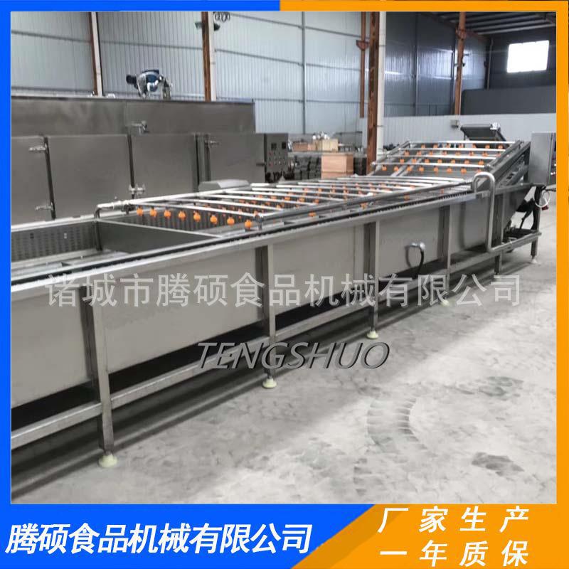 大型果蔬气泡清洗机流水线洗果机蔬菜清洗流水线厂家销售