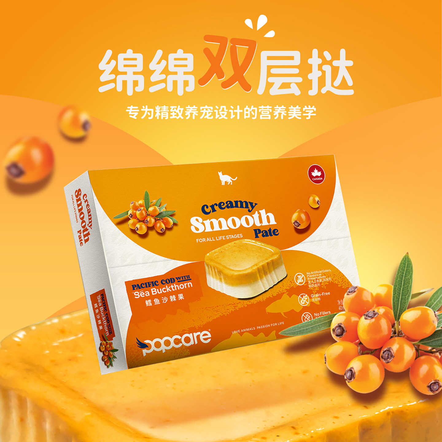 POPCARE泡泡可儿猫咪主食餐盒成幼猫小克重双层罐湿粮鳕鱼沙棘果,宠物/宠物食品及用品,猫全价湿粮/主食罐,淘宝优惠券,粉丝福利购,淘宝优惠卷