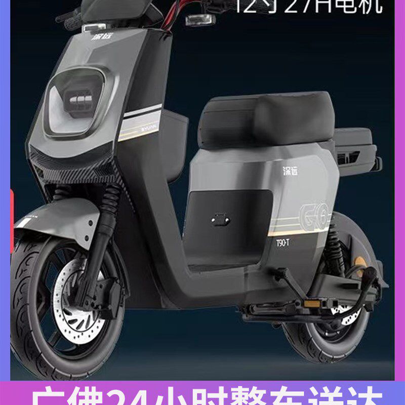 深远三代动力版新国标电动自行车锂代步长跑王