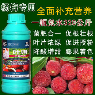 叶姆杨梅树专用肥料叶面肥果树肥料专用复合肥料坐果膨大保花保果