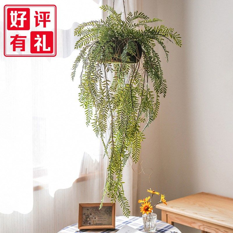 掬涵仿真蕨类植物吊球绿植物花艺吊篮森系商铺橱窗造景