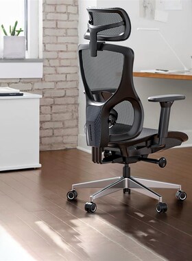 Ergoup/有谱 玄武人体工学椅家用电脑椅子久坐办公电竞椅老板座椅