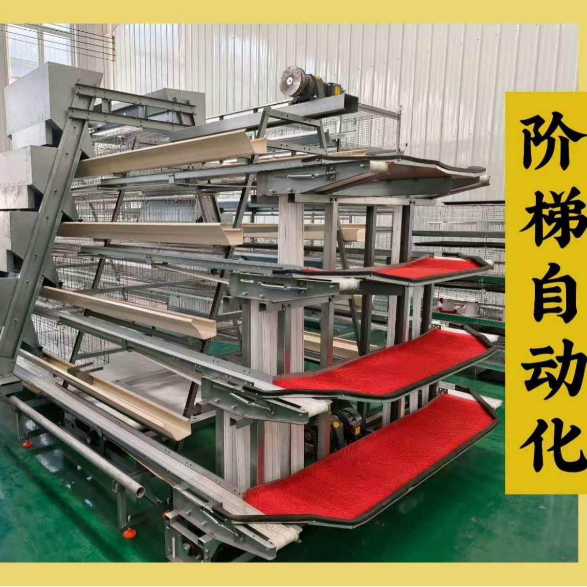 热镀锌阶梯蛋鸡笼耐腐蚀耐用商用阶梯蛋鸡笼层间错位防粪便污,农机/农具/农膜,农用防护器具,淘宝优惠券,粉丝福利购,淘宝优惠卷