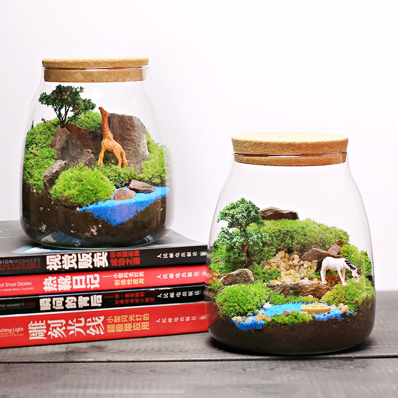 大水滴瓶苔藓植物盆栽微景观生态瓶室内桌面趣味微型创意DIY绿植