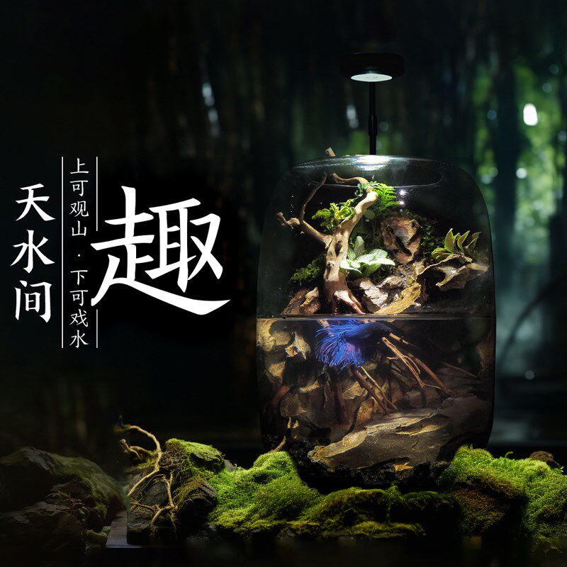 丘辰青苔藓微景观养鱼生态瓶办公桌面绿植DIY玻璃瓶造景植物摆件