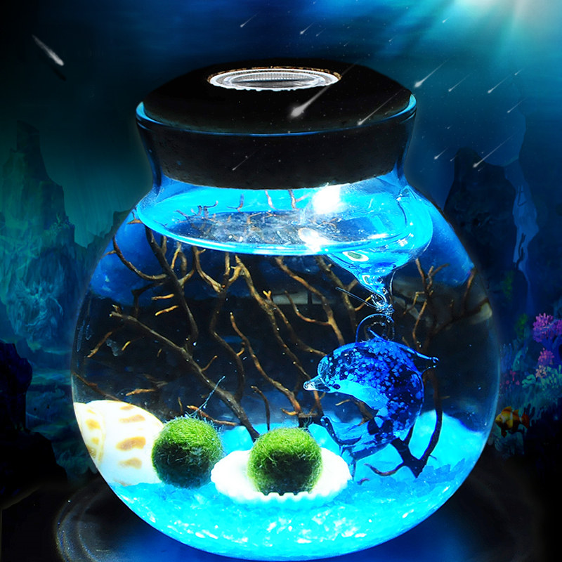 趣味植栽幸福海藻球微景观生态瓶DIY水培植物创意办公室盆栽球藻