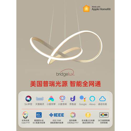 餐厅吊灯现代极简北欧极简异形线条客厅卧室照明办公室全光谱灯