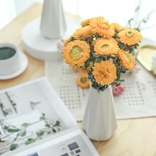 云南天然雏菊干花花束昆明真风干花装饰摆设文艺南栖于野拍摄道具