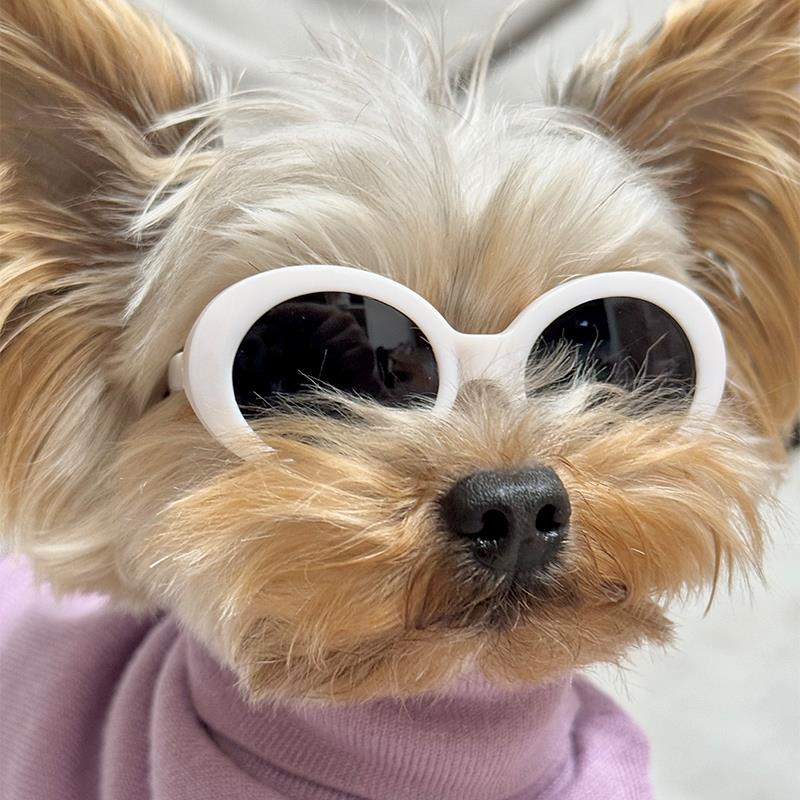 宠物眼镜潮酷网红狗狗拍照道具约克夏狗眼镜德文斯芬克斯猫墨镜