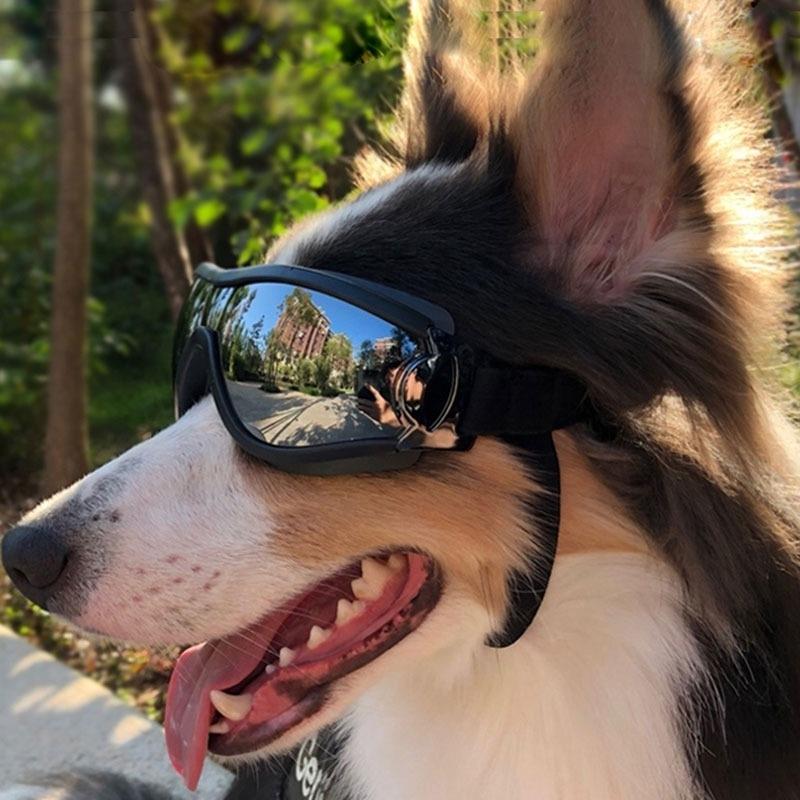 宠物眼镜狗狗护目镜太阳镜狗专用德牧哈士奇墨镜边牧骑行防风镜